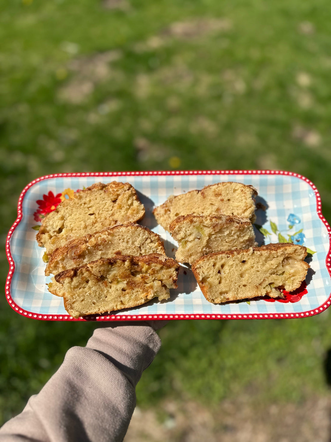 Rhubarb Bread